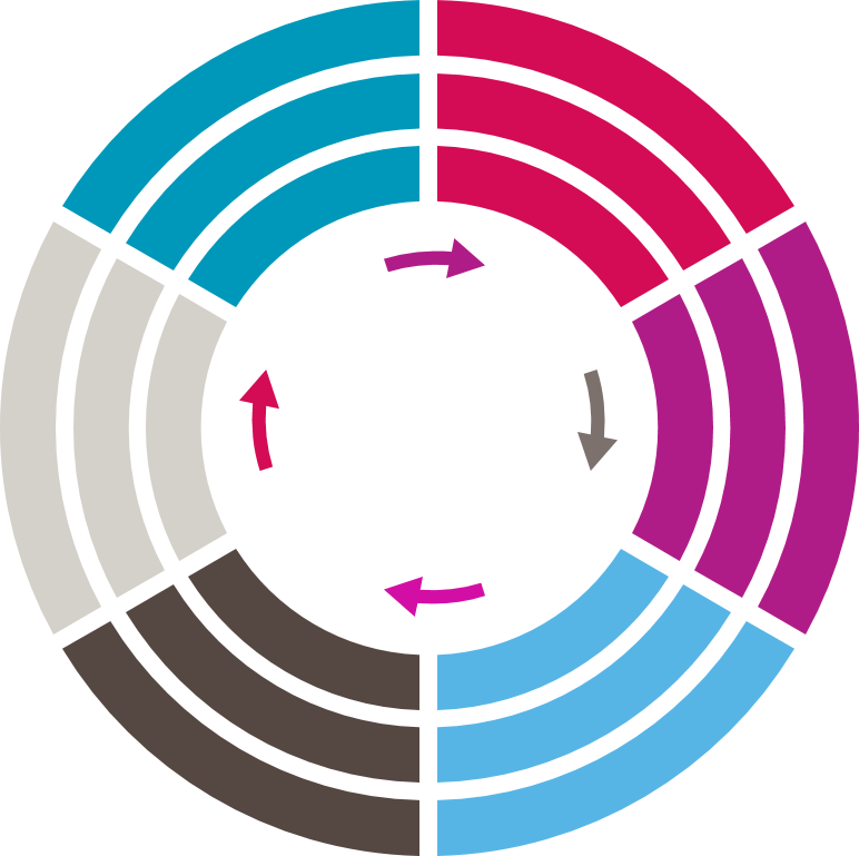 The Insight SAM Framework diagram