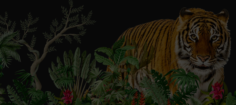 Article Webinar: What Dangers Await in the Digital Jungle? Image